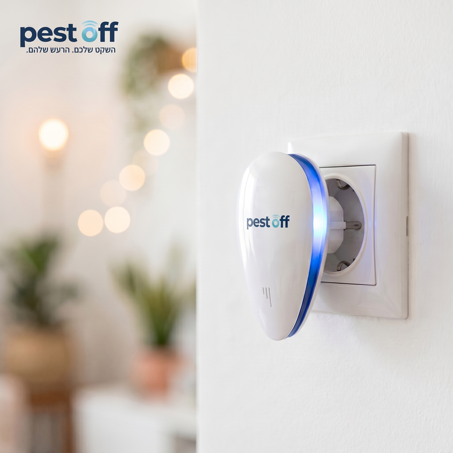 פלאג אנד פלי — מחברים לשקע וזהו